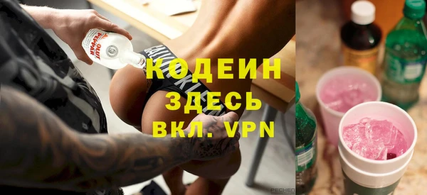 МДПВ Каменка