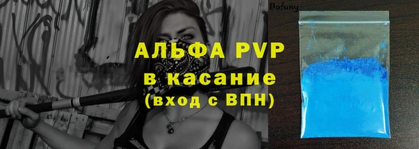 мдпв Инсар