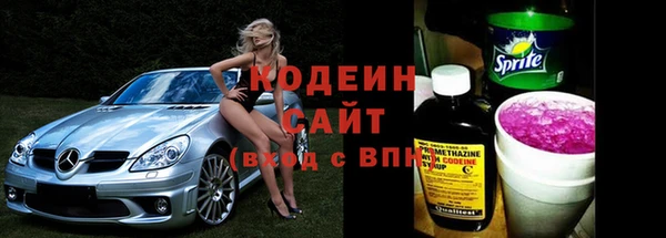 мдпв Инсар