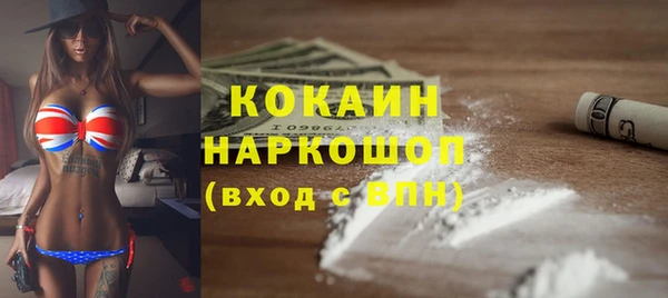 МДПВ Каменка