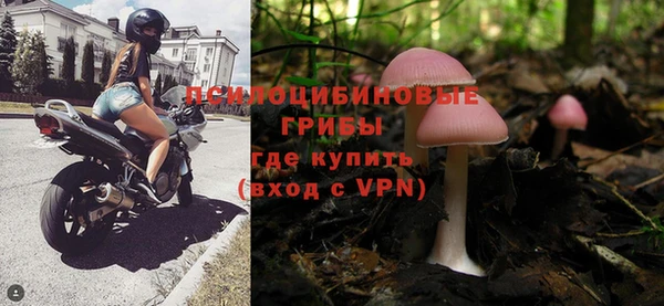 мет Каменногорск