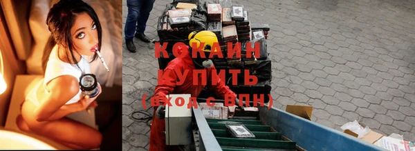 spice Нестеровская