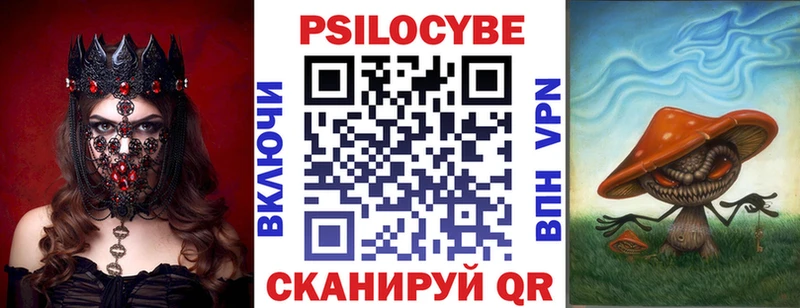 Псилоцибиновые грибы мухоморы  сколько стоит  ссылка на мегу tor  Кушва 