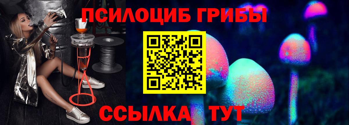 Псилоцибиновые грибы GOLDEN TEACHER Кушва