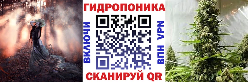 купить наркотики цена  блэк спрут сайт  Канабис сатива  Кушва 